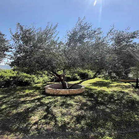 1 Bedroom With Terrace