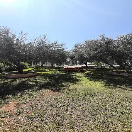 1 Bedroom With Terrace *