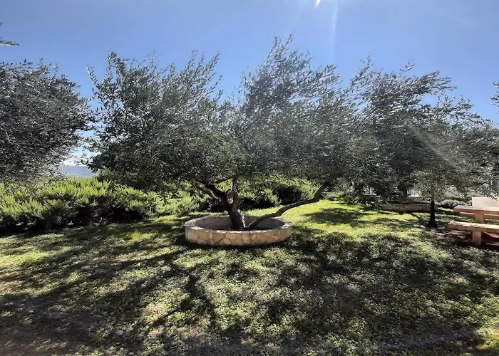 1 Bedroom With Terrace