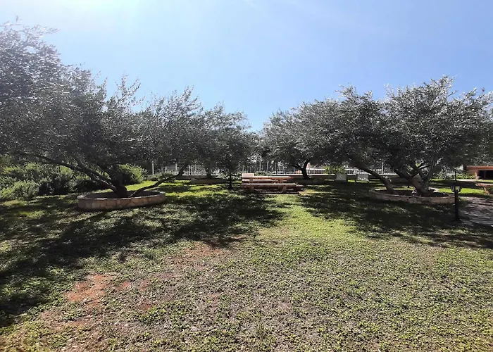 1 Bedroom With Terrace *